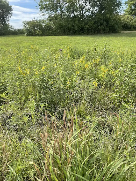 Quail run campground Picture 4