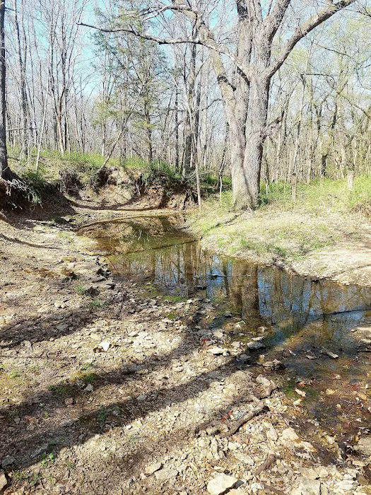 Big Bull Creek Youth Campground Picture 5
