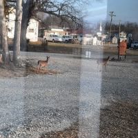 Deer Rest Campground ico