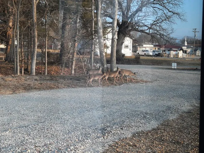 Deer Rest Campground Picture 8