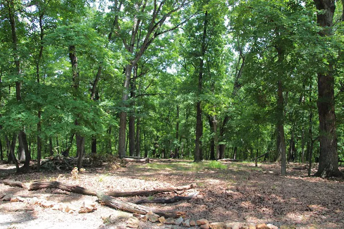 Mohican Campsite Picture 4