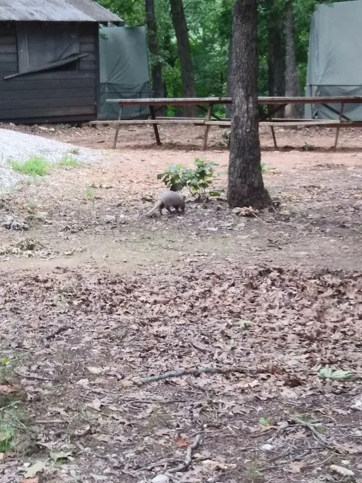 Mohican Campsite Picture 6