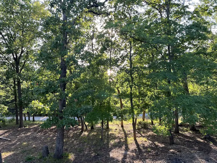 Seneca Campsite Picture 3
