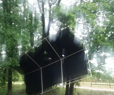 Seneca Campsite