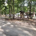 Locust Campsite