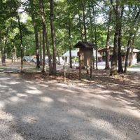 Locust Campsite ico