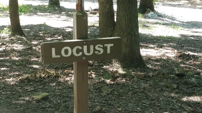 Locust Campsite Picture 2
