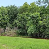 Camp Creekside ico