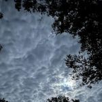 Fort Niagara Campsite