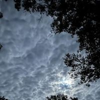 Fort Niagara Campsite ico