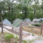 Oak Campsite