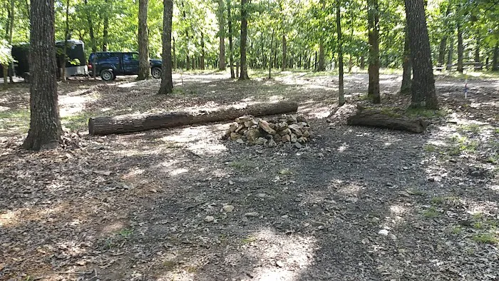 Spruce Campsite Picture 3