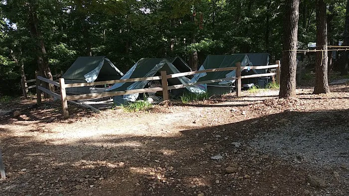 Spruce Campsite Picture 4