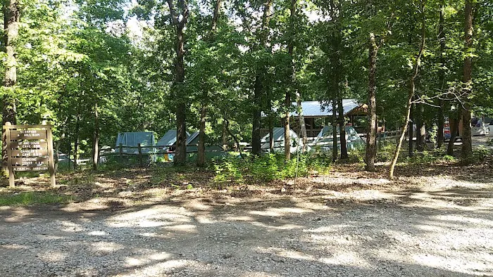 Spruce Campsite Picture 5