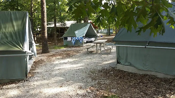 Spruce Campsite Picture 8