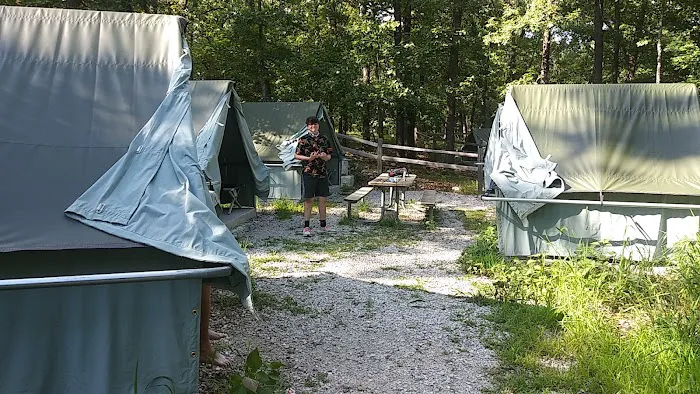 Spruce Campsite Picture 7