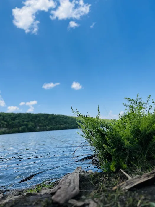 Lake of the Ozarks State Park Campgrounds Picture 9