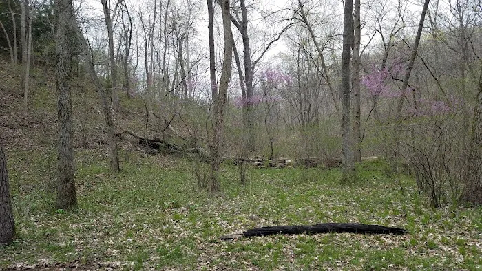 Turkey Pen Hollow Backpack Camp Picture 2