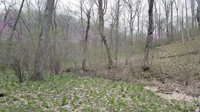Turkey Pen Hollow Backpack Camp Picture 3