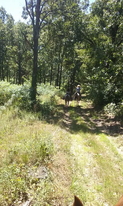 Lead Mine Conservation Area Picture 9