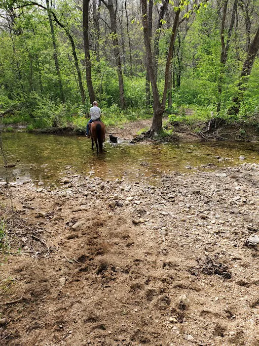 Lead Mine Conservation Area Picture 10
