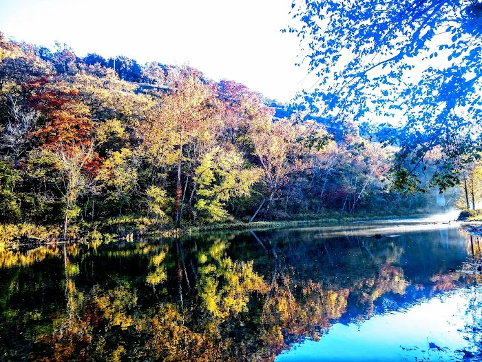 Smokey Bottom Resort Picture 4