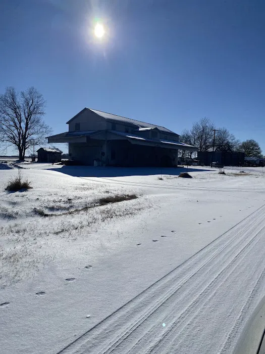 The Gin RV Parking, Camp Sites and Tiny Shack Picture 10