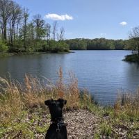 Lone Pine Campground ico