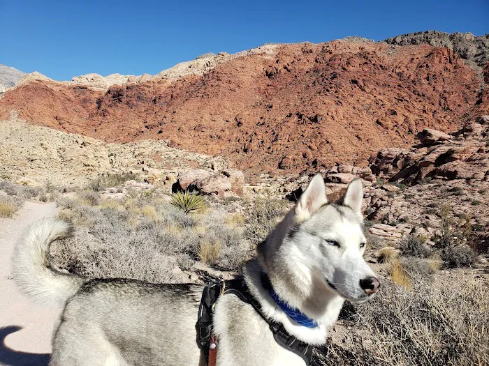Red Rock Campground Picture 7