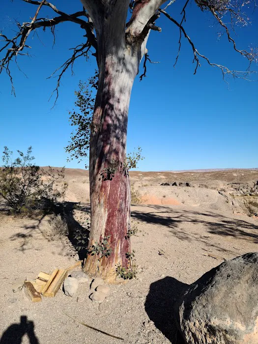 Las Vegas Bay Campground Picture 6
