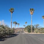 Callville Bay NPS Campground