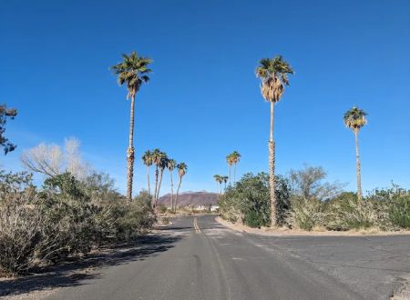 Callville Bay NPS Campground