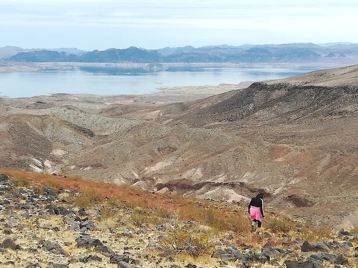Callville Bay NPS Campground Picture 2