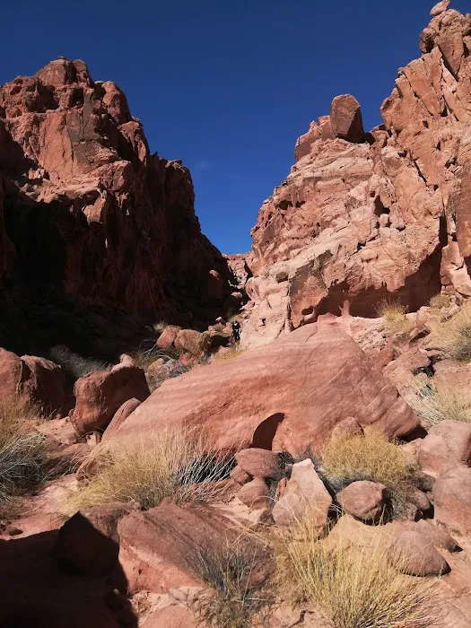 Callville Bay NPS Campground Picture 7