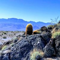 Gass Peak Road Camping Area ico