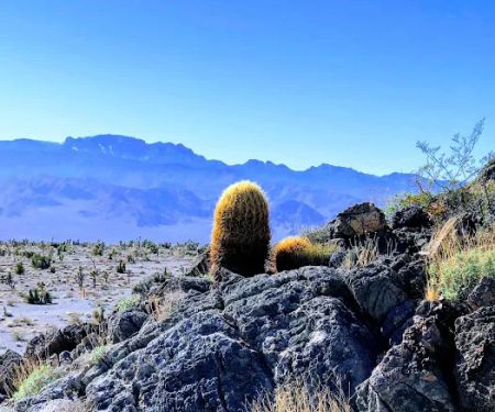 Gass Peak Road Camping Area