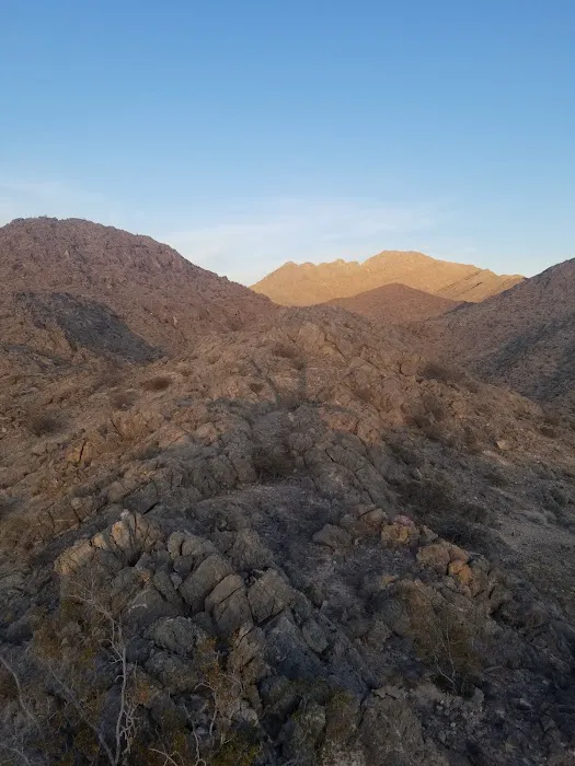 Gass Peak Road Camping Area Picture 9
