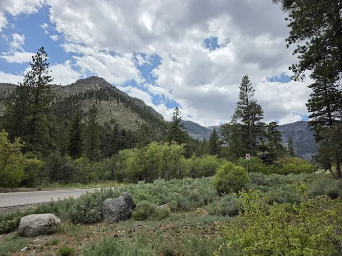Fletcher View Campground Picture 5