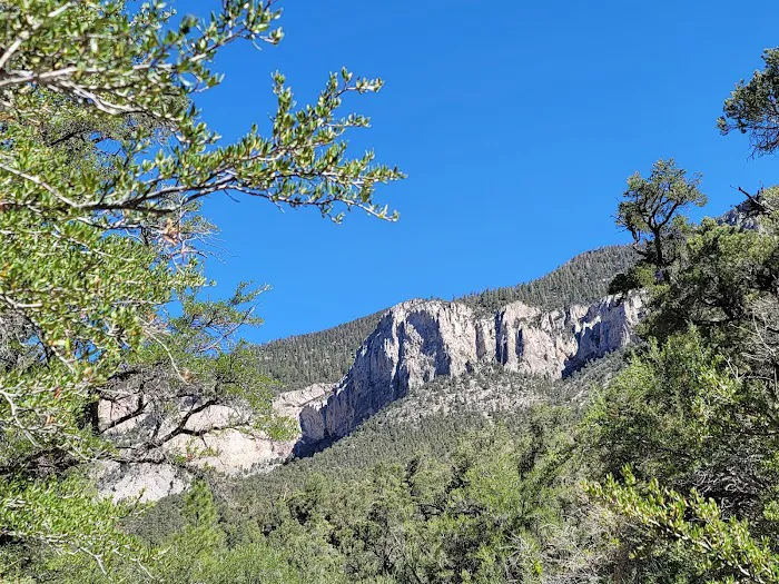 Fletcher View Campground Picture 3