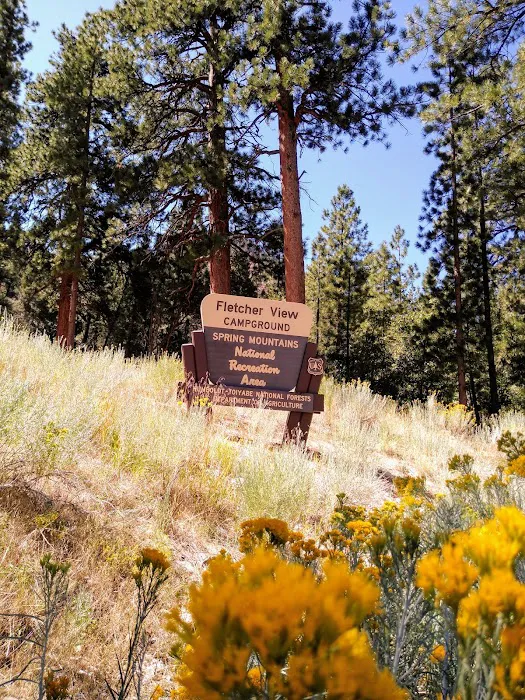 Fletcher View Campground Picture 9