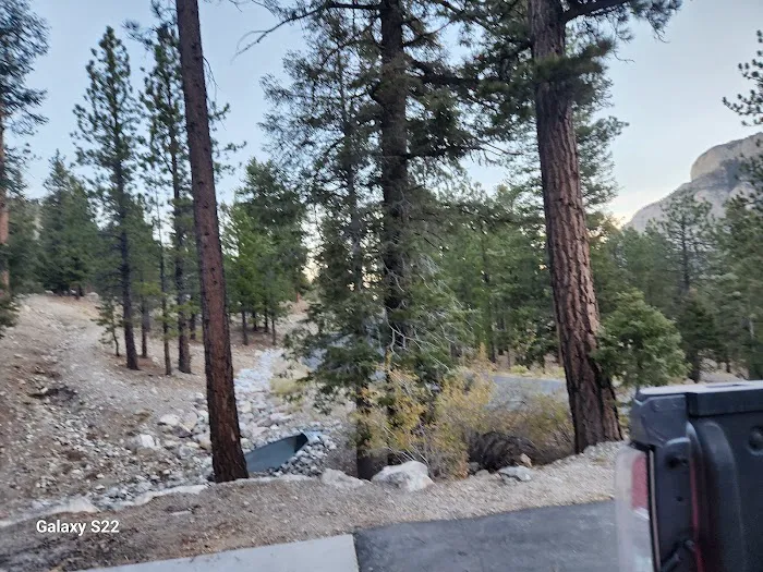 Mahogany Grove Group Campground Picture 1