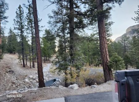 Mahogany Grove Group Campground