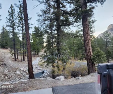 Mahogany Grove Group Campground
