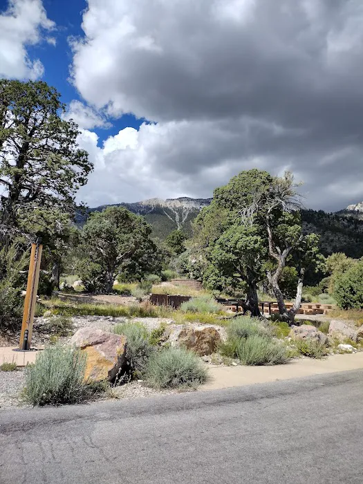 Mahogany Grove Group Campground Picture 4