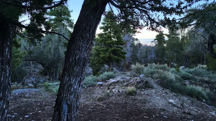 Mahogany Grove Group Campground Picture 3