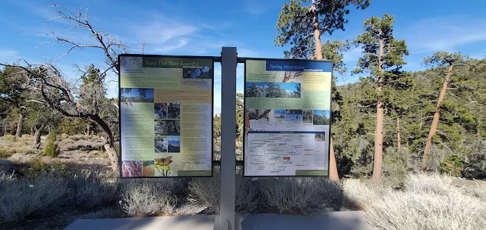 Mahogany Grove Group Campground Picture 10