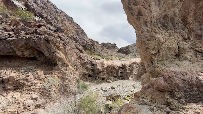 Kingman Wash Lake Mead National Recreation Picture 2