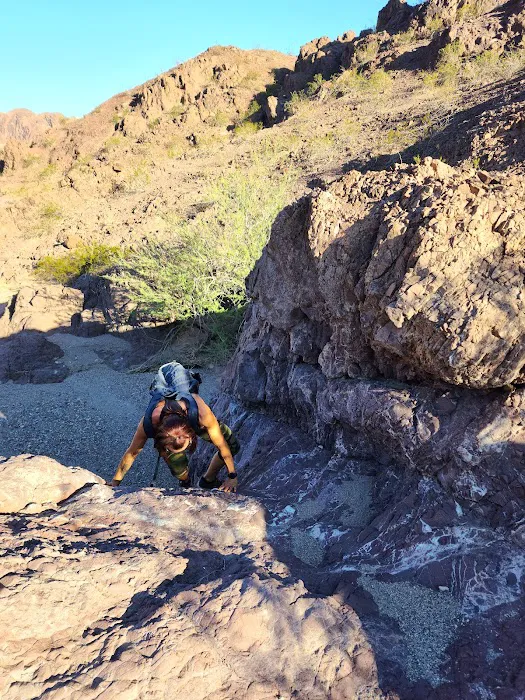 Kingman Wash Lake Mead National Recreation Picture 8