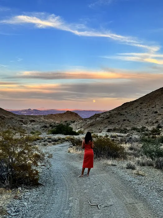 Vegas Glamping Picture 4