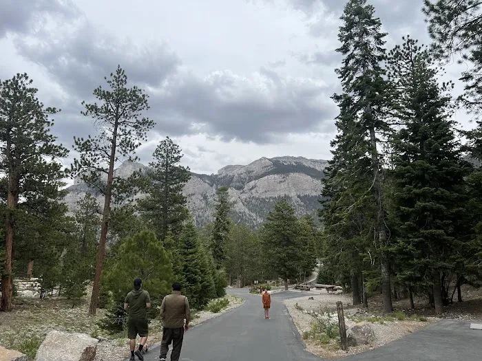 McWilliams Campground Picture 1